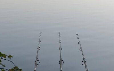 Adding Third Rod and Night Fishing Options
